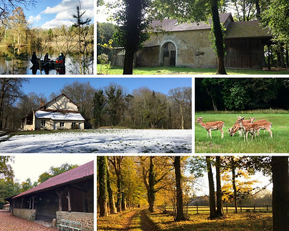 Image de présentation La Lisière - lieu de résidence de création pour les arts en espace public